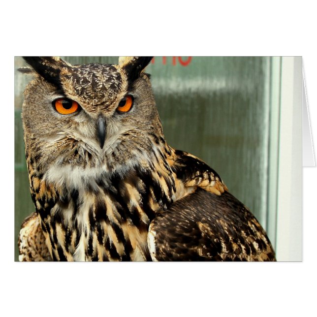 non défini (Devant horizontal)