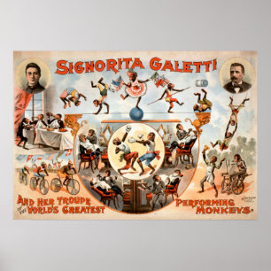Non mes singes non mon poster vintage de cirque