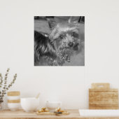 Non-nonsense pup poster (Keuken)