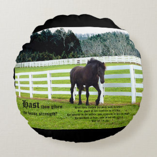 Nonesuch at Cedar Point w Job 39 Rond Kussen