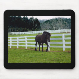 Nonesuch op Cedar Point Muismat