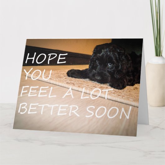 Noodle wil dat je groter bent kaart (Voorkant)