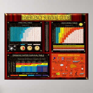 NOODOVERLEVINGSGIDS POSTER