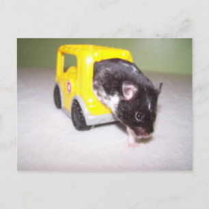 nooduitgang Noah Briefkaart