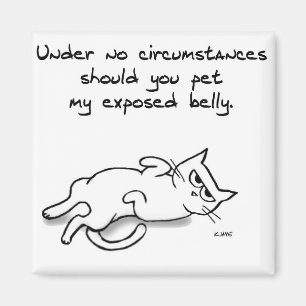 Nooit de kat Belly - grappige kat-fridge Magnet Magneet