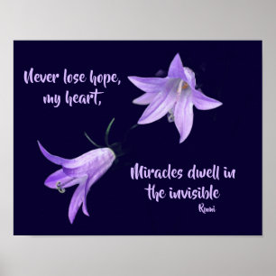 Nooit het Inspirerend Citaat van de Hoop van Rumi Poster