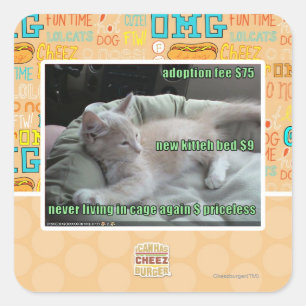 Nooit meer in een kooi leven vierkante sticker