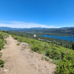 Nooit! Misschien. Poster