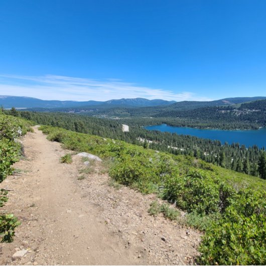 Nooit! Misschien. Poster