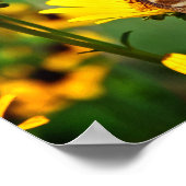 Nooit Poster opgeven (Hoek)