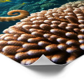 Nooit Poster opgeven (Hoek)