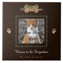 Nooit vergeten Dog of Cat Memorial