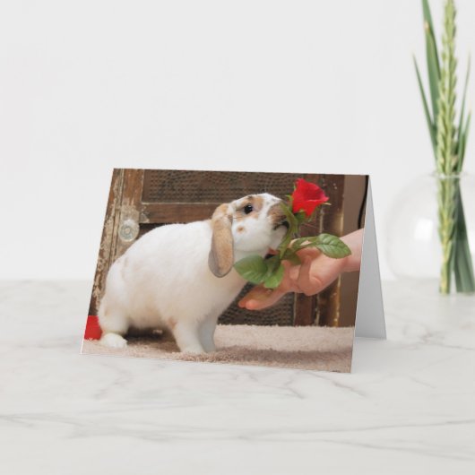 Nooit verloren kaart (Voorkant)