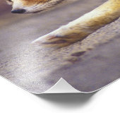 Noord-Afrika. Fennec Fennecus zerda) Foto Afdruk (Hoek)