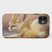 Noord-Afrika. Fennek Fennecus zerda) Case-Mate iPhone Case (Achterkant (horizontaal))