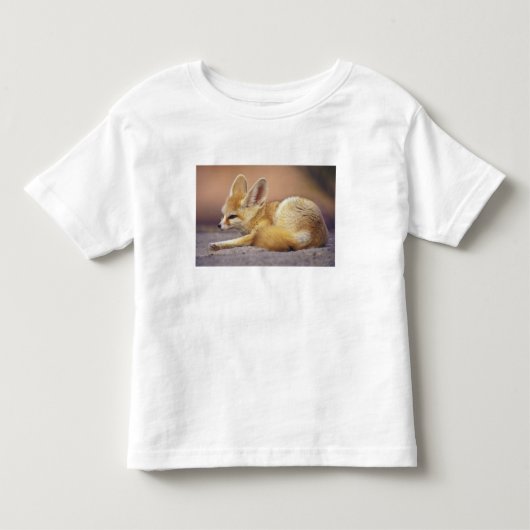 Noord-Afrika. Fennek Fennecus zerda) Kinder Shirts (Voorkant)