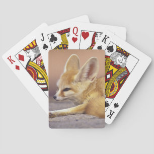 Noord-Afrika. Fennek Fennecus zerda) Speelkaarten