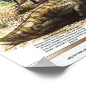 "Noord-Amerika: 1993 In de tijd van de dinosauriër Poster (Hoek)