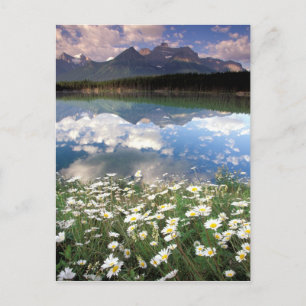 Noord-Amerika, Canada, Alberta, Banff National 2 Briefkaart