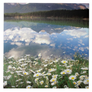 Noord-Amerika, Canada, Alberta, Banff National 2 Tegeltje