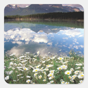 Noord-Amerika, Canada, Alberta, Banff National 2 Vierkante Sticker