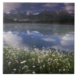 Noord-Amerika, Canada, Alberta, Banff National Tegeltje