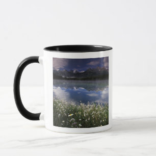 Noord-Amerika, Canada, Alberta, Nationaal park Ban Mok