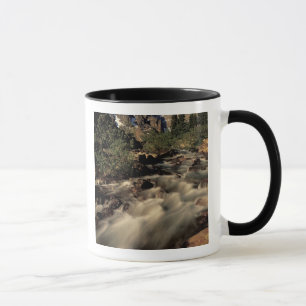 Noord-Amerika, Canada, Canadese Rocky Mountains, B Mok