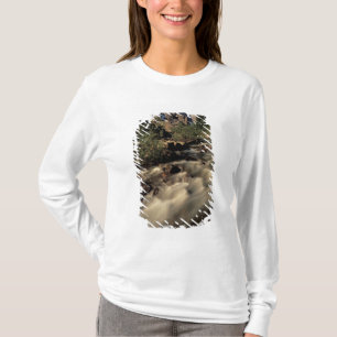 Noord-Amerika, Canada, Canadese Rocky Mountains, B T-shirt