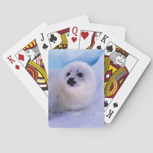 Noord-Amerika, Canada, Golf van St. Lawrence Speelkaarten (Achterkant)