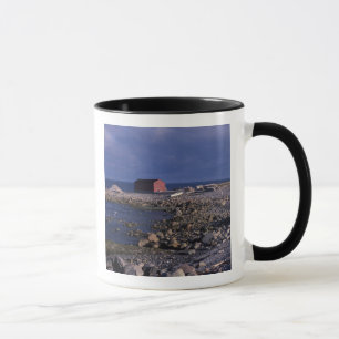 Noord-Amerika, Canada, Newfoundland, Gros Morne Mok