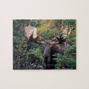 Noord-Amerika, Canada, Nova Scotia, Cape Breton Legpuzzel