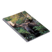 Noord-Amerika, Canada, Nova Scotia, Cape Breton Notitieboek (Rechterzijde)