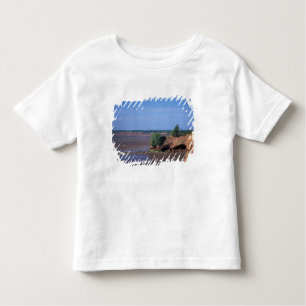 Noord-Amerika, Canada, Nova Scotia, Economy, Bay Kinder Shirts