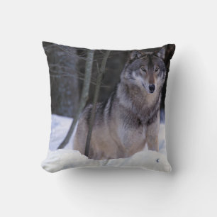 Noord-Amerika, Canada, Oost-Canada, Grijze wolf Kussen