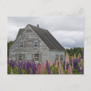 Noord-Amerika, Canada, Prince Edward Island Briefkaart
