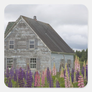 Noord-Amerika, Canada, Prince Edward Island Vierkante Sticker