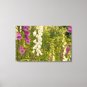 Noord-Amerika, Canada, Queen Charlotte-eilanden, 5 Canvas Afdruk