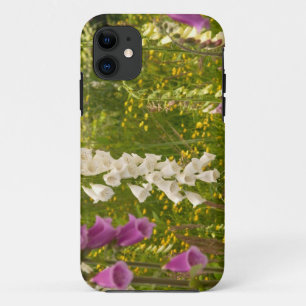 Noord-Amerika, Canada, Queen Charlotte-eilanden, 5 iPhone 11 Hoesje