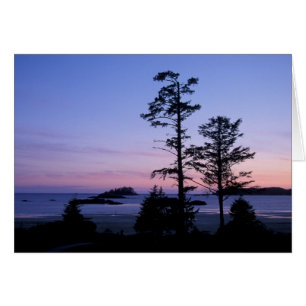 Noord-Amerika, Canada, Vancouver Island, bomen