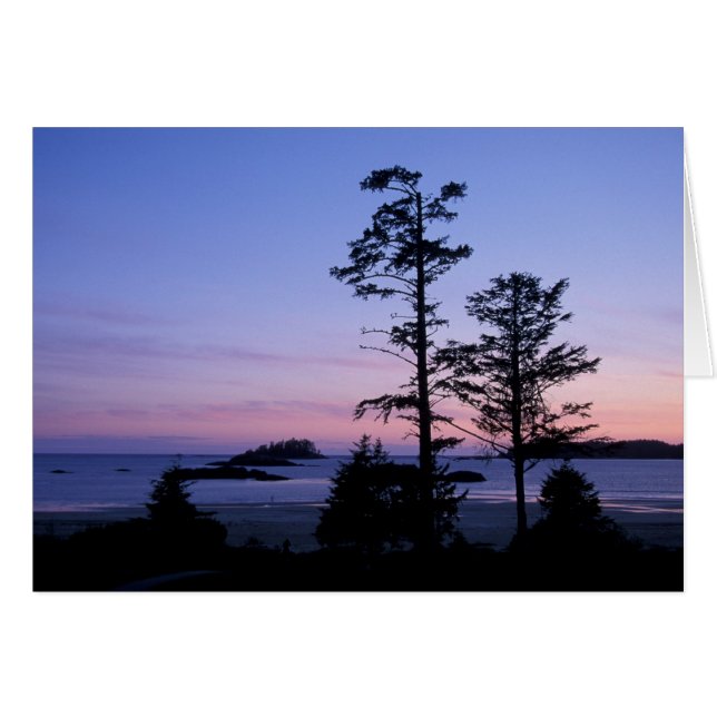 Noord-Amerika, Canada, Vancouver Island, bomen (Voorkant Horizontaal)