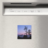 Noord-Amerika, Canada, Vancouver Island, bomen Magneet (Insitu (Vaatwasser))