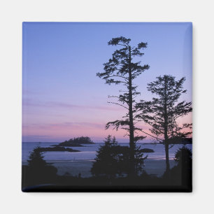 Noord-Amerika, Canada, Vancouver Island, bomen Magneet