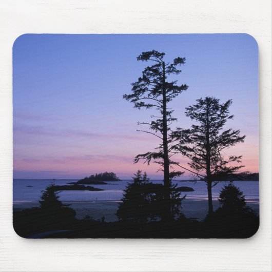 Noord-Amerika, Canada, Vancouver Island, bomen Muismat (Voorkant)