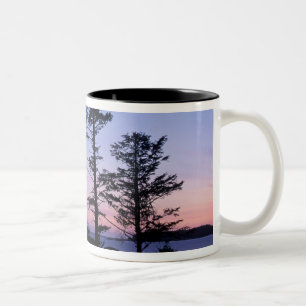 Noord-Amerika, Canada, Vancouver Island, bomen Tweekleurige Koffiemok