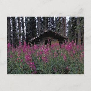 Noord-Amerika, Canada, Yukon. Verlaten vallenzette Briefkaart