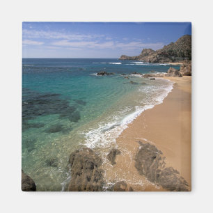 Noord-Amerika, Mexico, Baja California Sur, Magneet