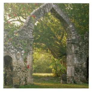 Noord-Amerika, Mexico, Yucatan schiereiland, Tegeltje