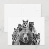 Noord-Amerika Predators Woodlanddieren Briefkaart (Voorkant / Achterkant)