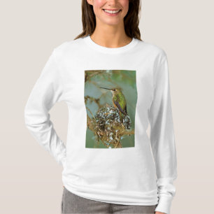 Noord-Amerika, Verenigde Staten, Alaska. Rosse kol T-shirt